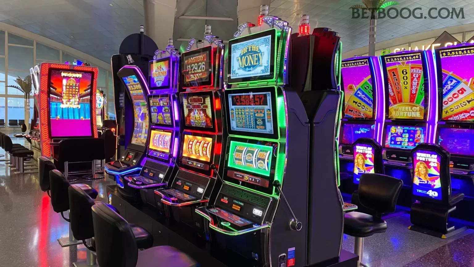 betboo - 8